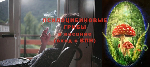 дмт Зеленокумск