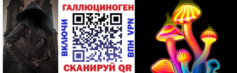 нарко площадка официальный сайт  Комсомольск  Галлюциногенные грибы Psilocybe 