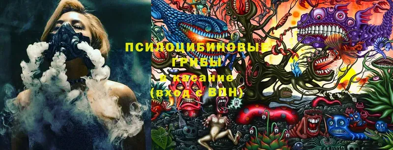 Галлюциногенные грибы Psilocybine cubensis  как найти закладки  Комсомольск 